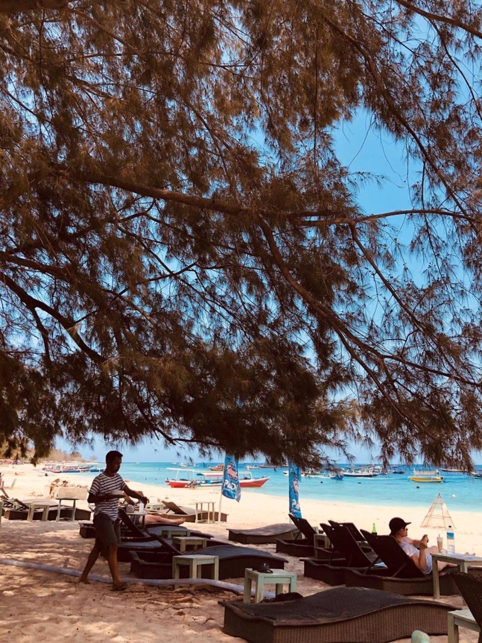 吉利特拉旺安Salon De Nomad Gili T.住宿加早餐旅馆 外观 照片